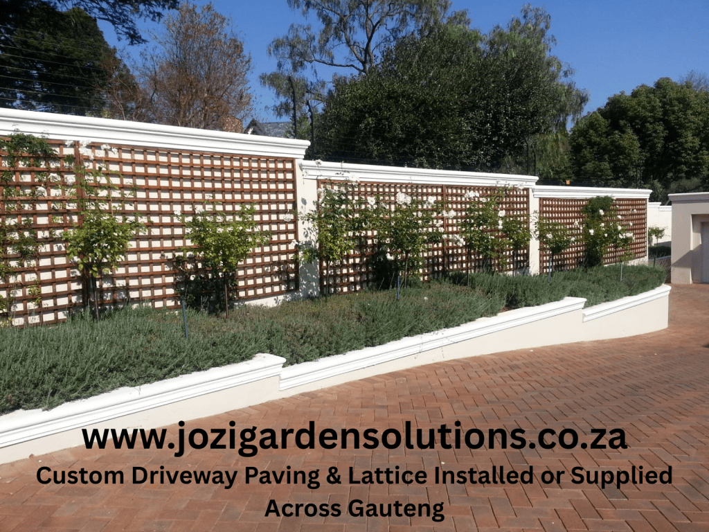 custom driveway paving lattice privacy climbing plant johannesburg