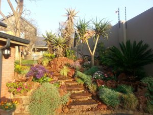 Natural stone walkway and rockery feature in Randburg Johannesburg garden