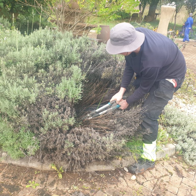 Site clearing before new landscaping and hardscaping project by Jozi Garden Solutions in Johannesburg – professional site preparation Gauteng