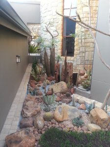 Water-wise succulent rockeries with natural stone hardscaping in Sandton Johannesburg